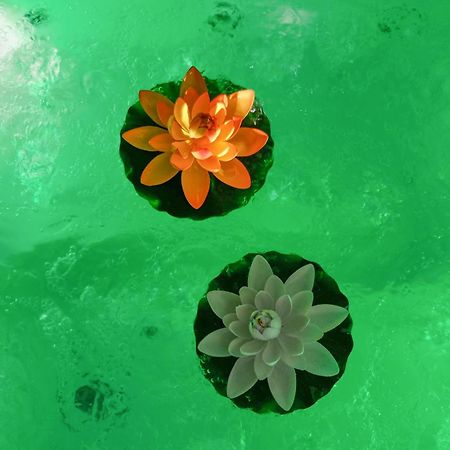 Les Volets Violets Panzió Salles  Kültér fotó